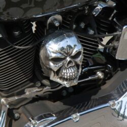 cover skull nakładka na klakson harley