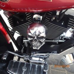 cover skull nakładka na klakson harley